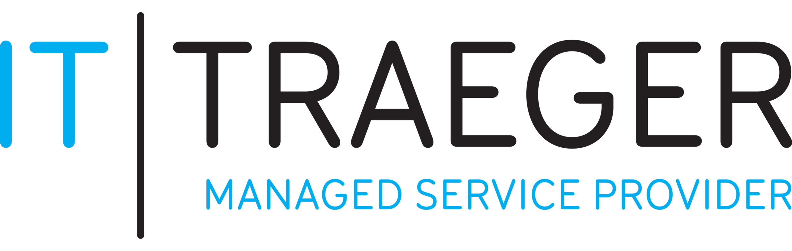 IT-Traeger GmbH